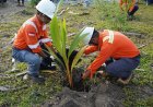 Perkuat Komitmen Hijau di Morowali, PT Vale Tanam Pohon dan Gaungkan Hemat Energi di Hari Bumi 2026